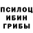 Псилоцибиновые грибы GOLDEN TEACHER Marina Rubel