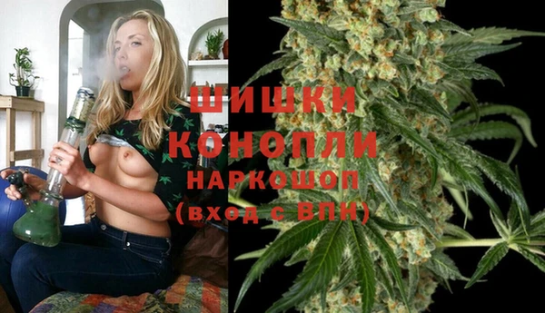 мяу мяу мука Белокуриха