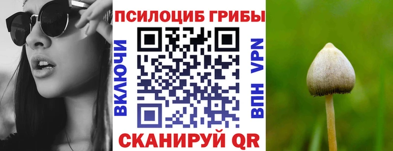 где можно купить наркотик  Уяр  Псилоцибиновые грибы Magic Shrooms 
